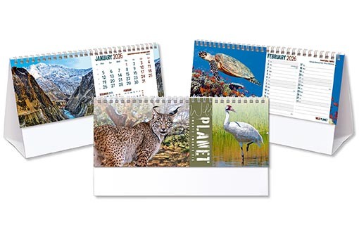 Wild Planet Desk Calendar