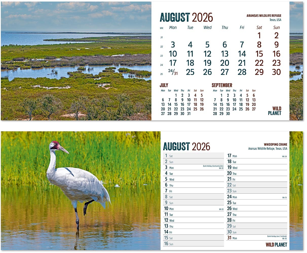 Wild Planet Desk Calendar