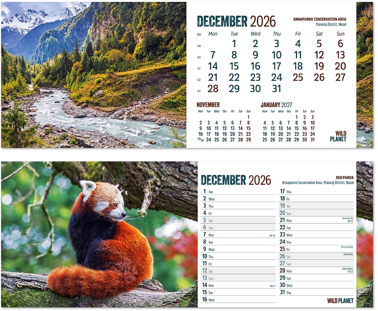 Wild Planet Desk Calendar
