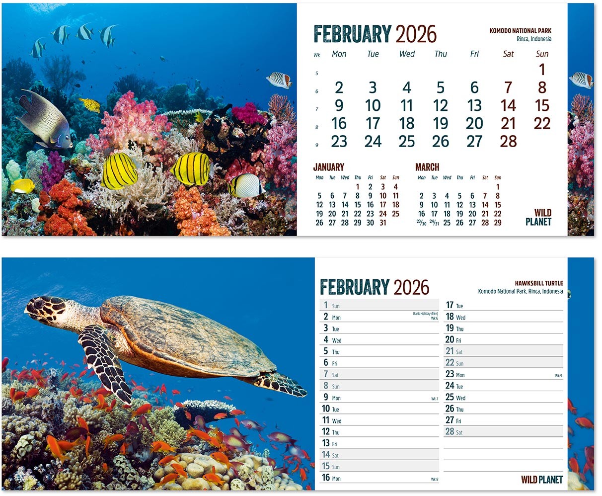 Wild Planet Desk Calendar