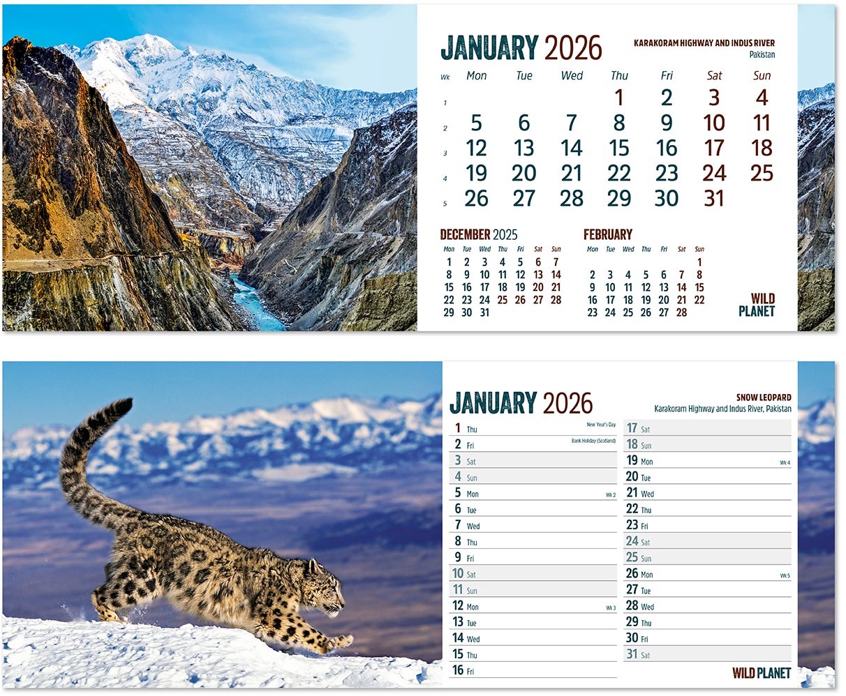 Wild Planet Desk Calendar