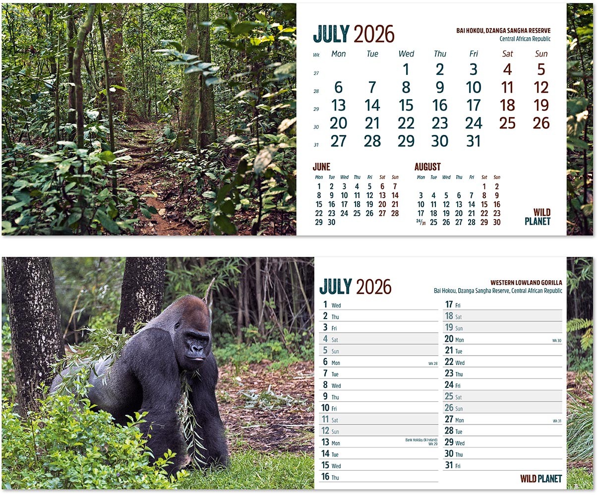 Wild Planet Desk Calendar