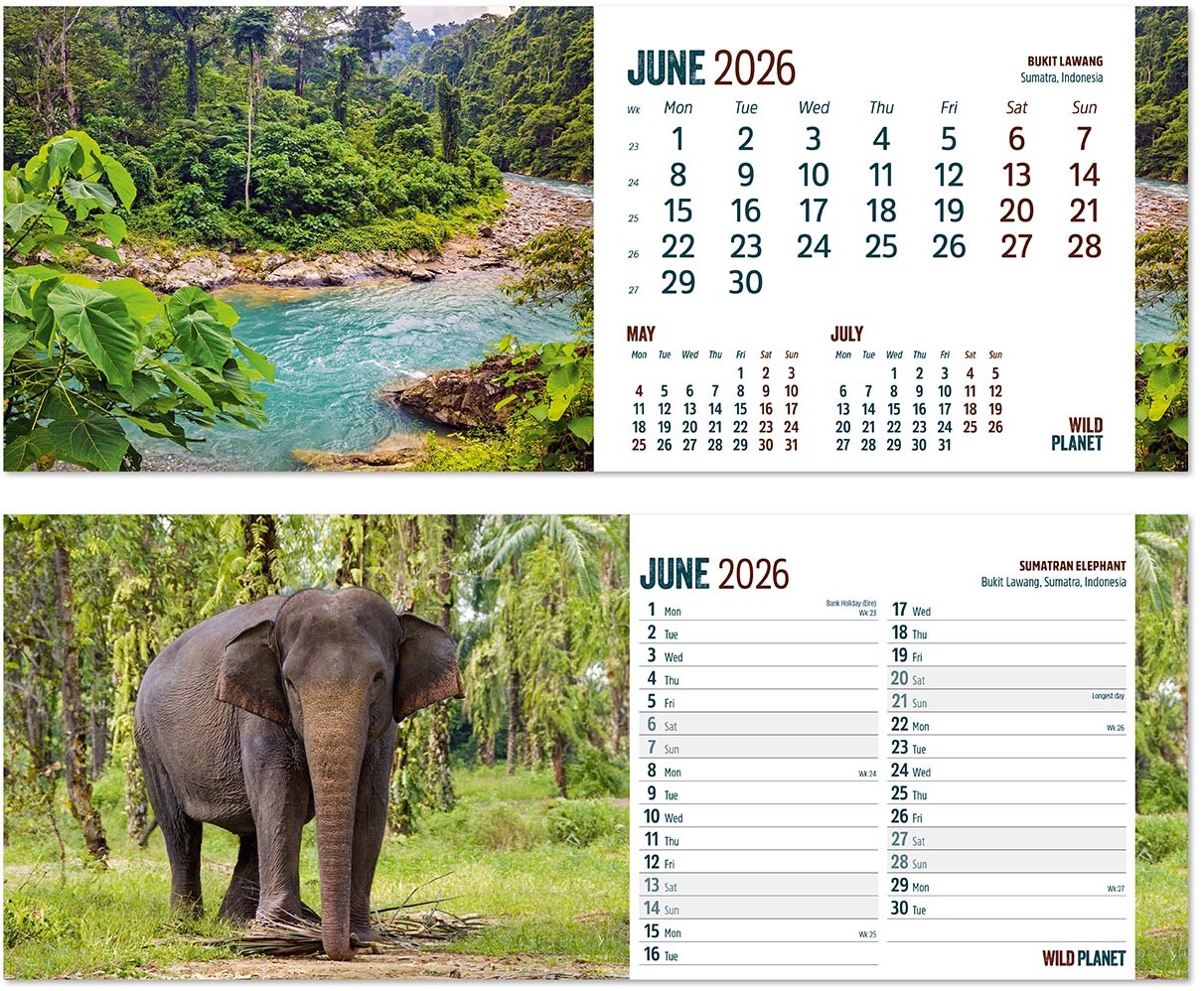 Wild Planet Desk Calendar