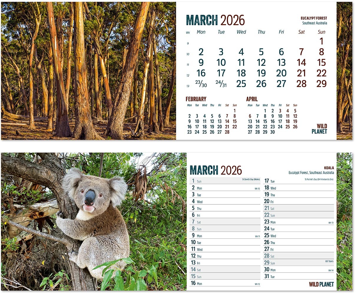 Wild Planet Desk Calendar