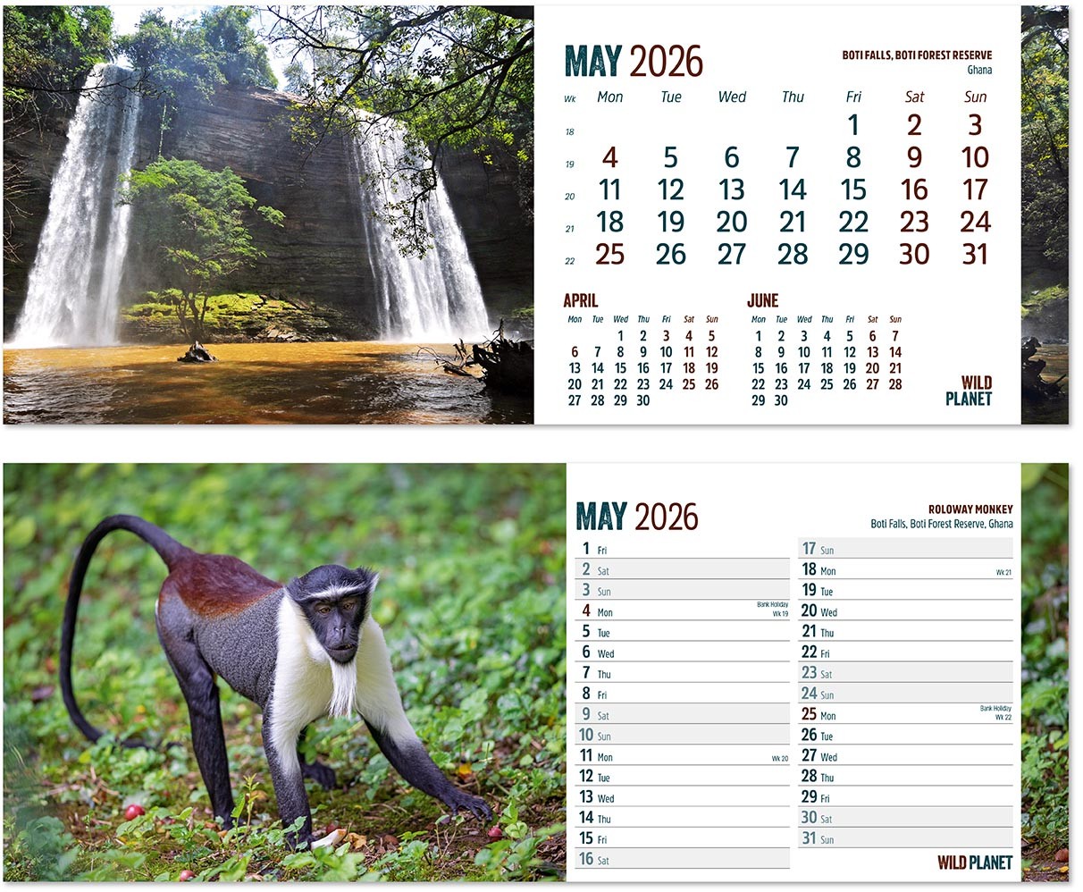 Wild Planet Desk Calendar