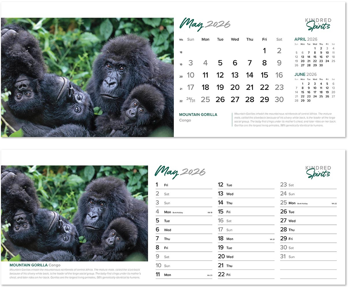 Kindred Spirits Desk Calendar