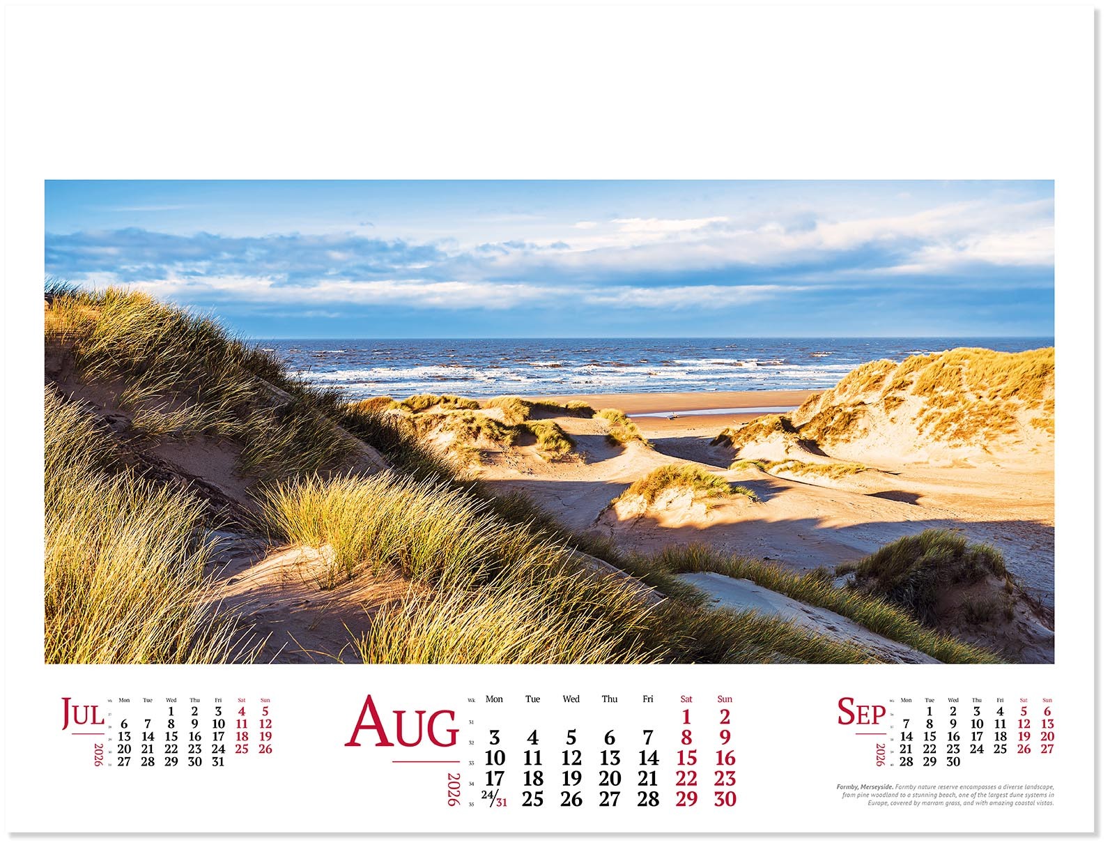Wild Britain Wall Calendar