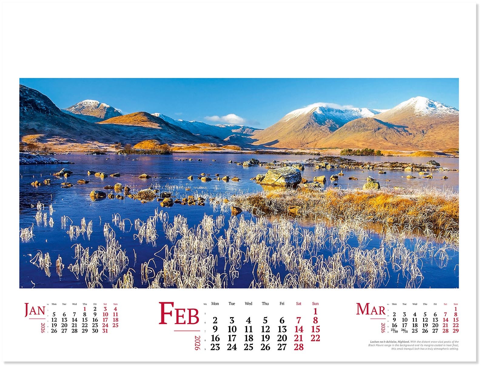 Wild Britain Wall Calendar