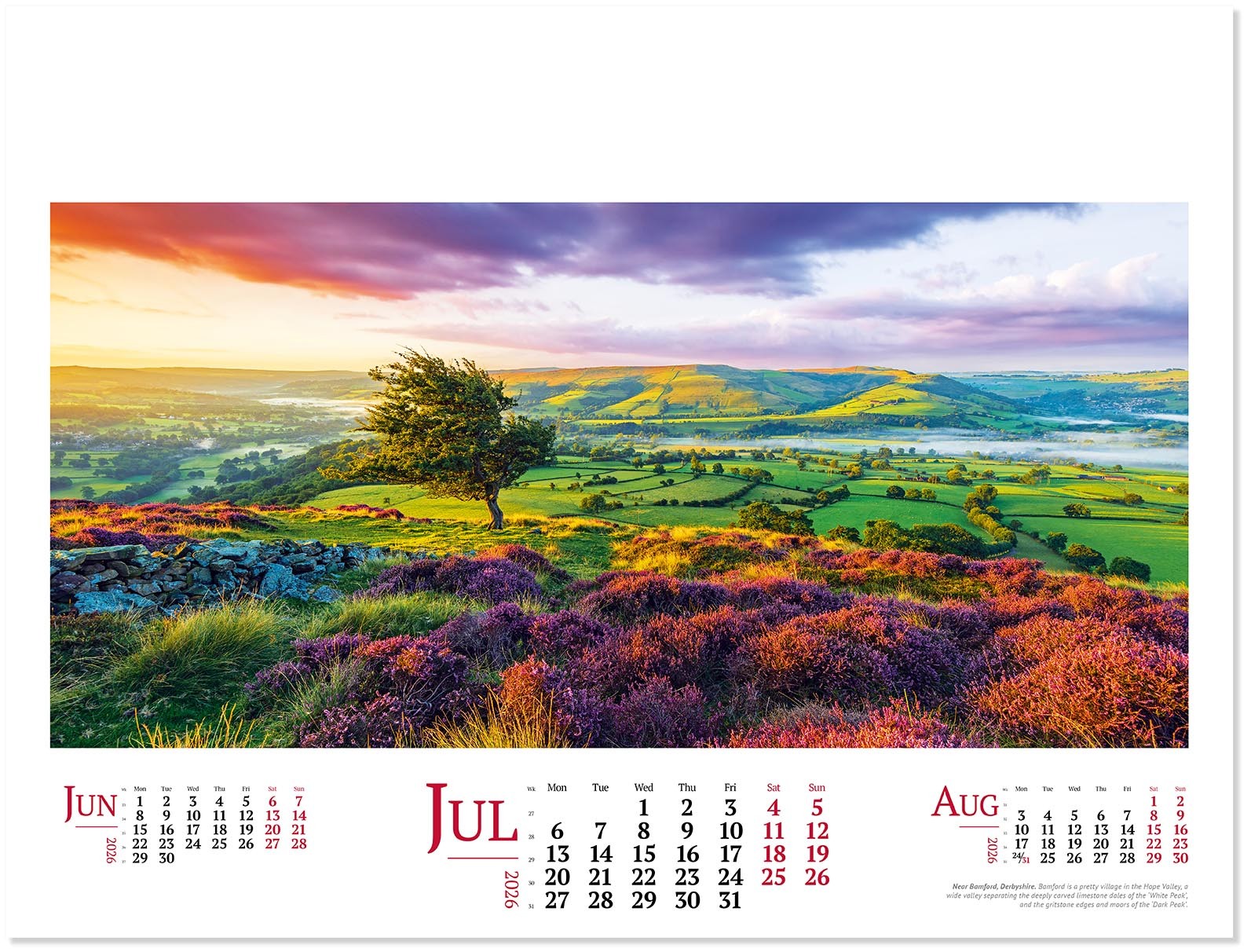 Wild Britain Wall Calendar