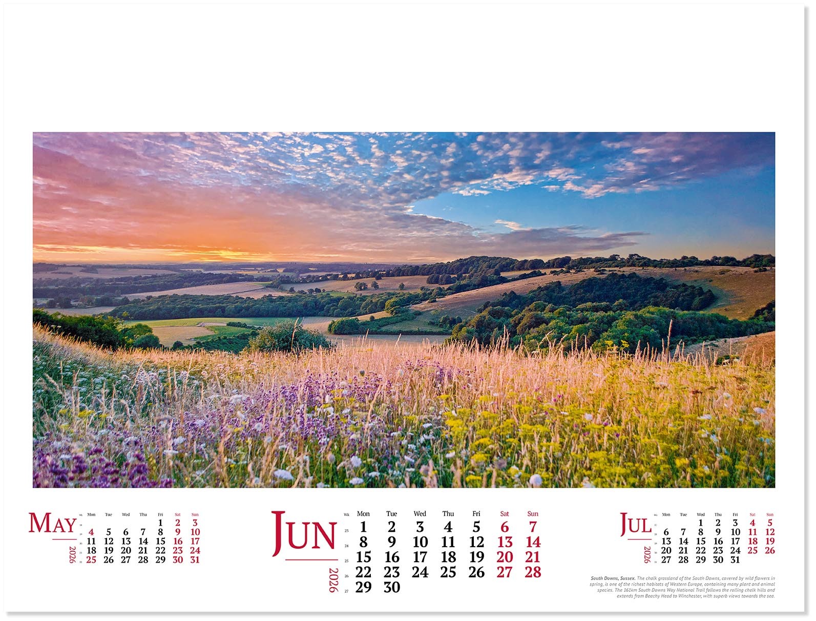Wild Britain Wall Calendar