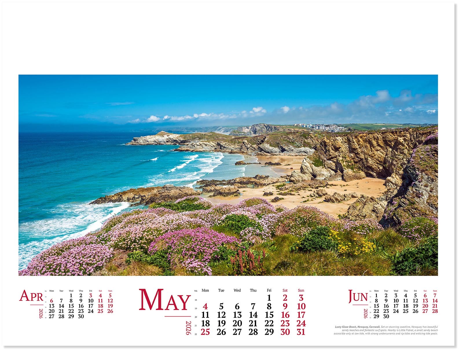 Wild Britain Wall Calendar
