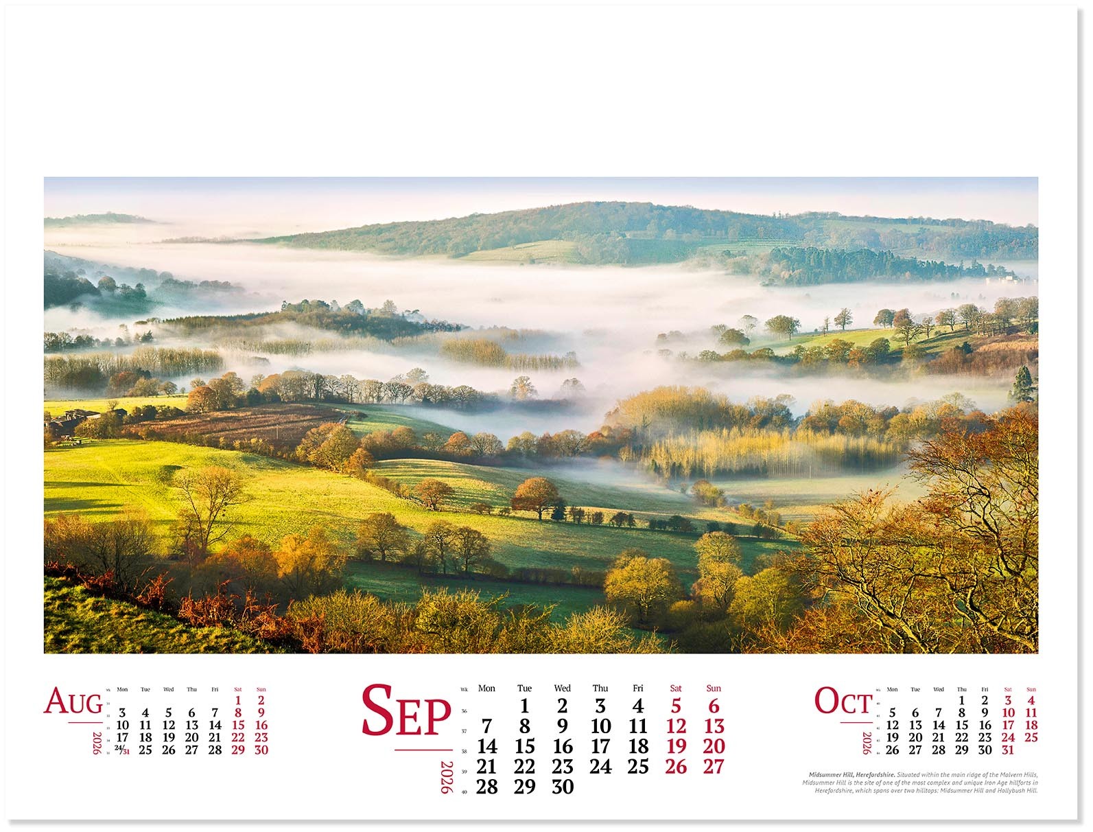 Wild Britain Wall Calendar