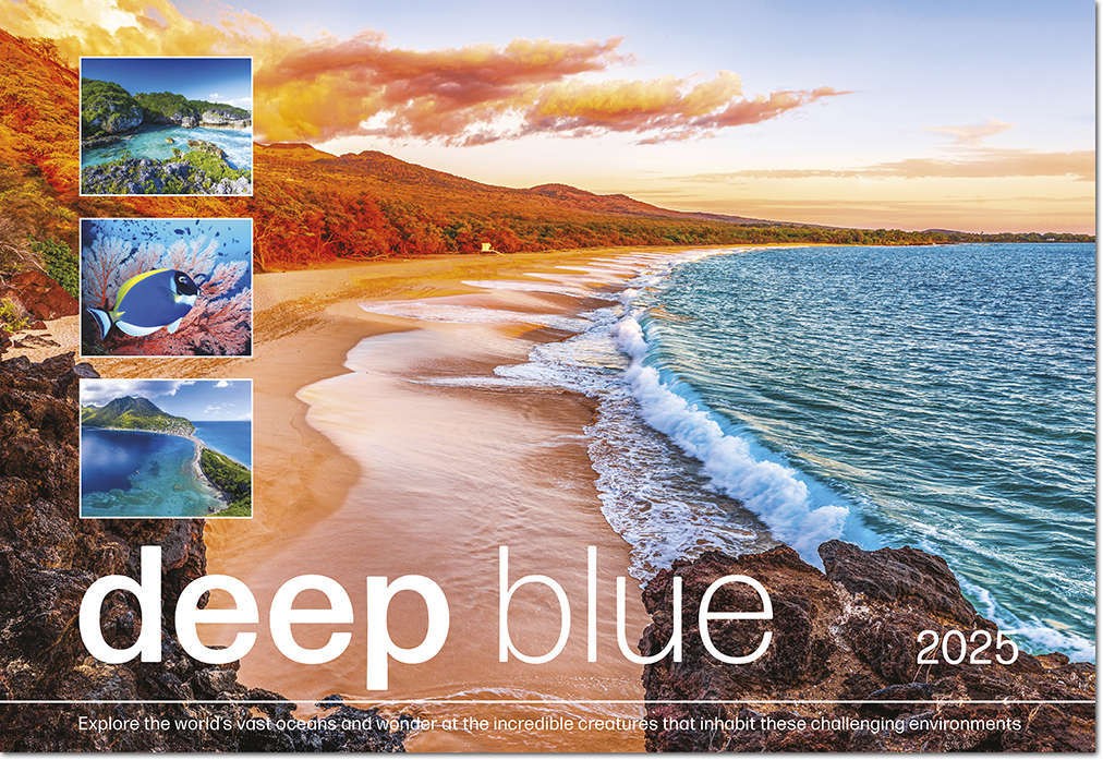 Deep Blue Wall Calendar