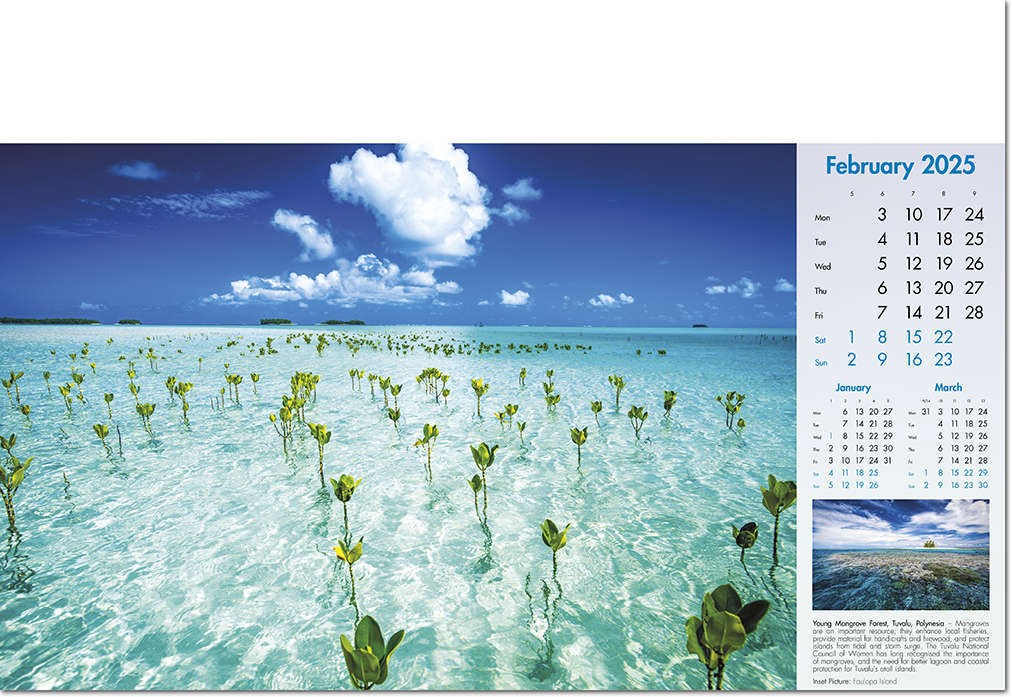 Deep Blue Wall Calendar